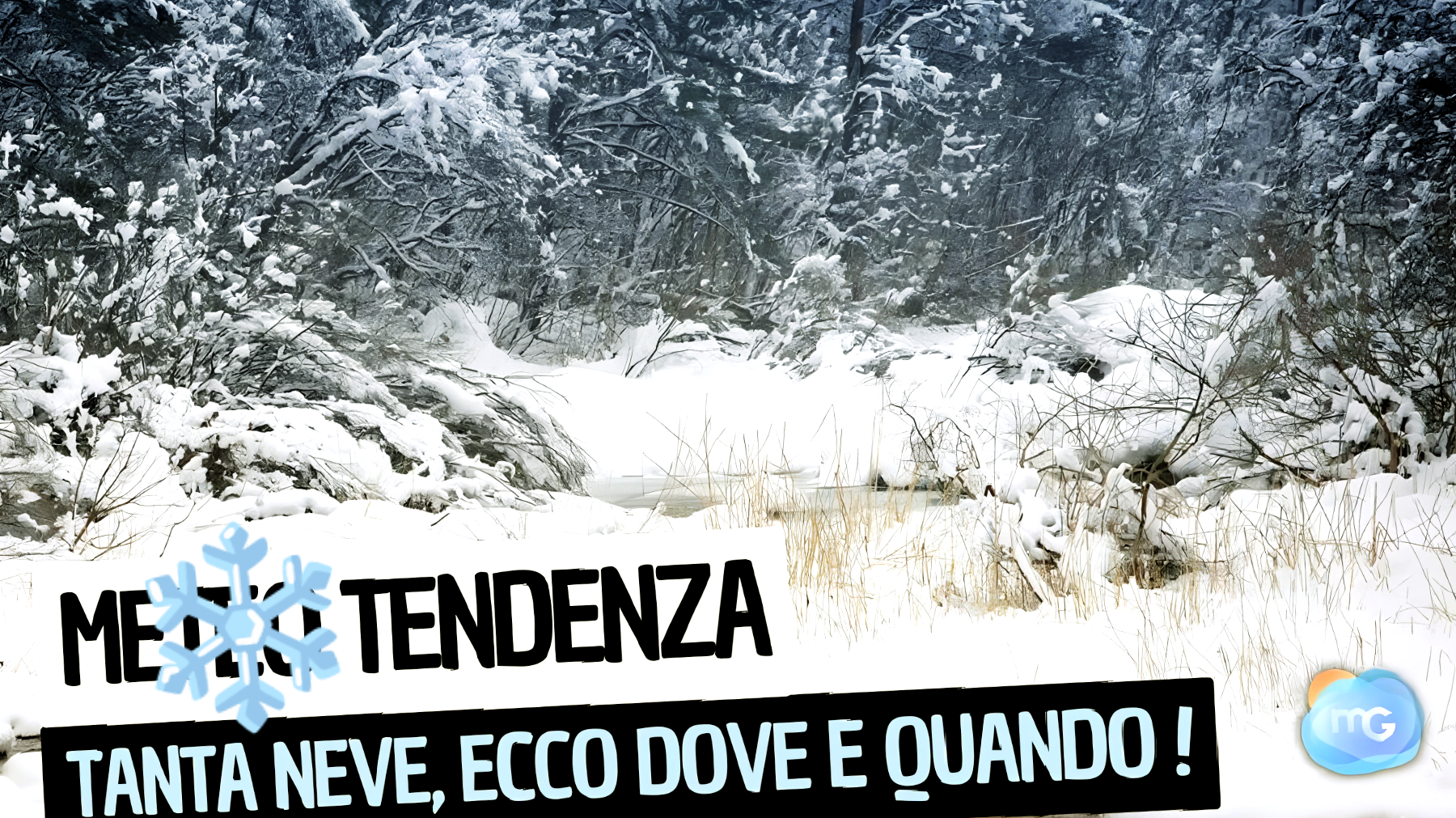 Neve in arrivo!"